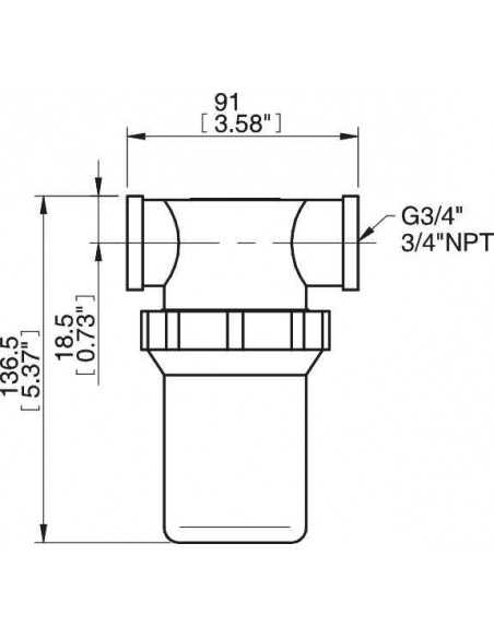0128415 Vacuum filter 3/4" NPT cpl. PPSF.75-X35